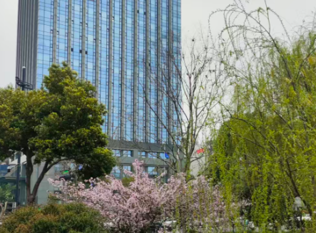 专家解读 | 定分止争，激活价值：衍生数据产权配置规则详解