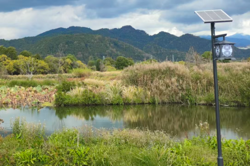 日照莒县：智慧育苗“种”出振兴新图景