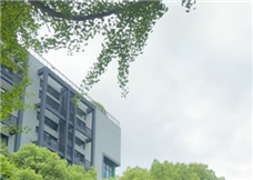 2026���һ���ȲƱ���¯ ���ȿ�