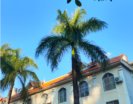 临沂沂水：人工智能融合应用 绘就县域美好生活新图景