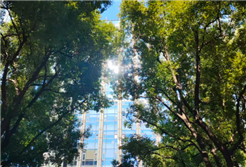 广东规范施工现场建筑垃圾管理