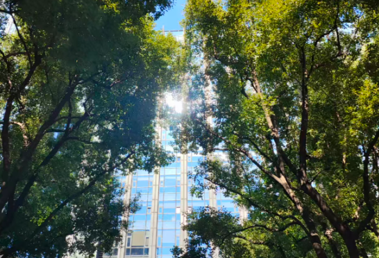擎天租连续完成两轮融资，估值达70亿元跻身独角兽