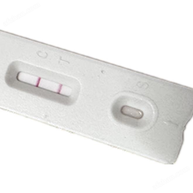 Dengue IgG antibody detection kit (enzyme-linked immunosorbent assay)